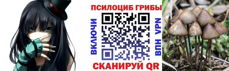 блэк спрут сайт  купить наркотик  Апатиты  Псилоцибиновые грибы ЛСД 